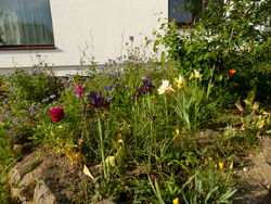 ��� �����, �����������