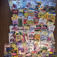 ���� ������, �������� ����� �����!