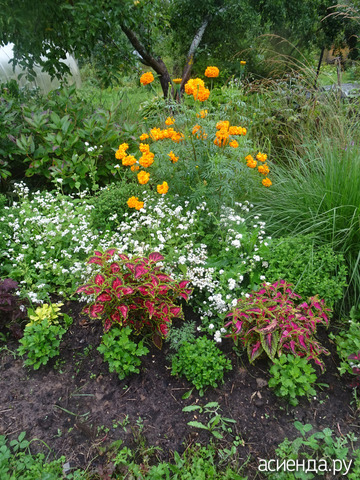 ����� ���������� � ��������� ����������