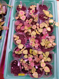 ���������� ������� �� �����