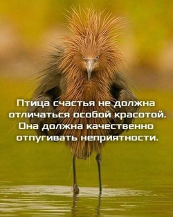 Сайт заработал.