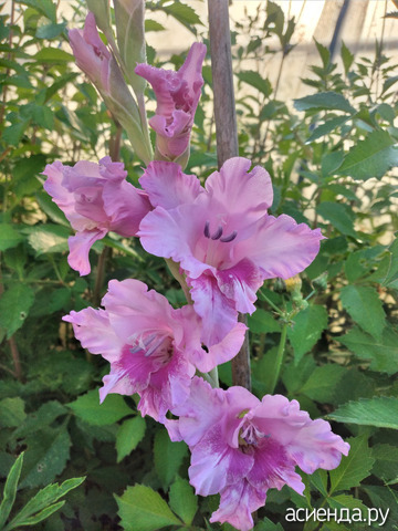 &quot;&quot;