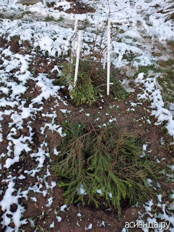 &quot;&quot;  &quot;&quot;