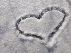 ���� ��������.