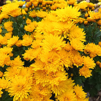 21.10.2025г. Дождливая осень.