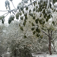 Непредвиденное окончание сезона