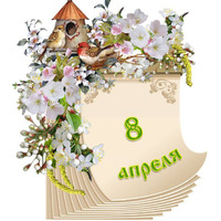 �������� ���������. ������� ������ 8 ������ 2026 ����