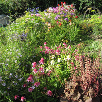 ��������� ������� ��������������� ����������� �������������