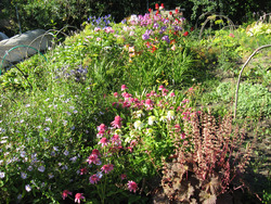 ��������� ������� ��������������� ����������� �������������