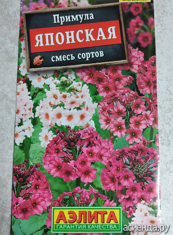 ����� 23 ������