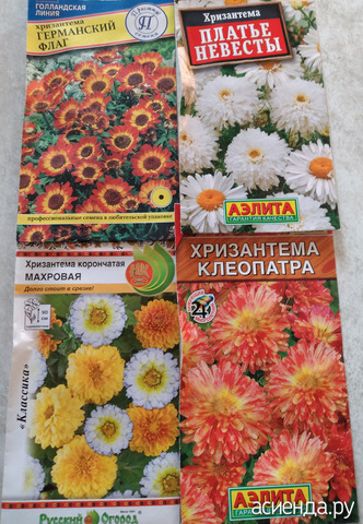 ����� 1 �������