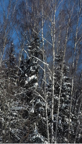 3 ������� 2026 �.