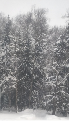 3 ������� 2026 �.