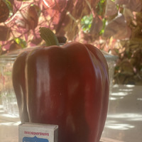 Перцы, которые вросли на моей даче в 25 году