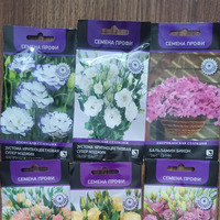 Начало сезона 2026