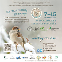 � �� ������� ��������...