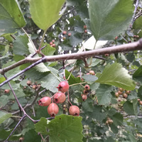 ���� � ����������.