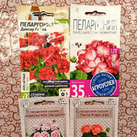 ������� ���������� 2026.