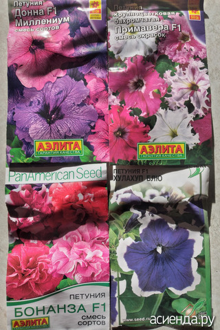 ����� 8 �������