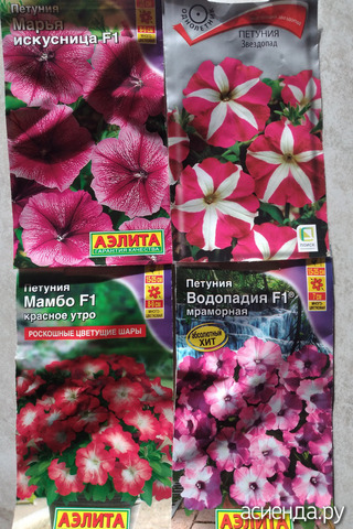 ����� 8 �������