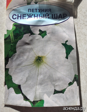 ����� 8 �������