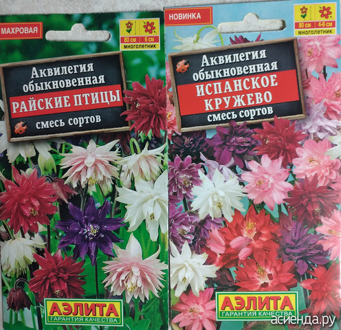 ����� 9 �������