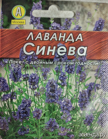 ����� 9 �������