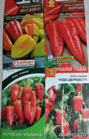 ����� 11 �������