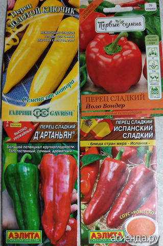 ����� 11 �������