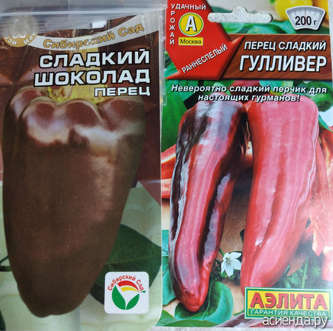 ����� 11 �������