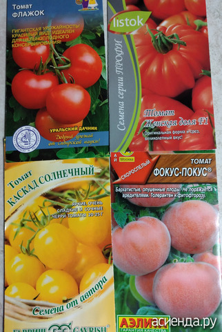 ����� 25 �������