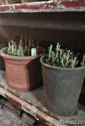 ���������� � ������