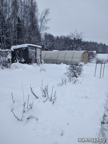 3 ������