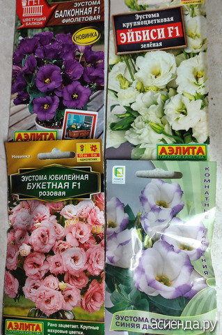 ����� 18 ������