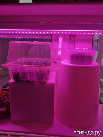 ������� ��� ������