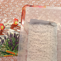 14 ������ 2026�. ��� ��������.