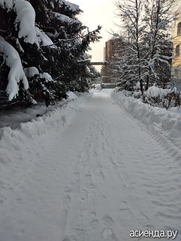 14 ������ 2026 �.