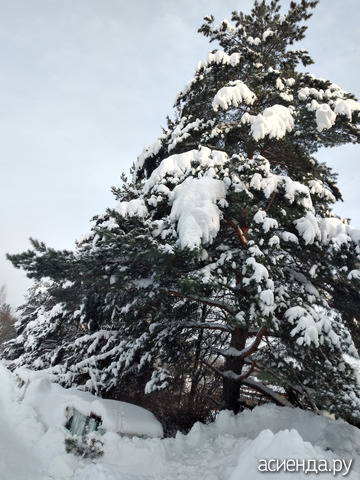 14 ������ 2026 �.