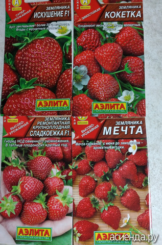 ����� 20 ������