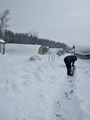 17 января.Снега выпало 50 см