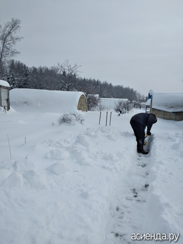 17 ������.����� ������ 50 ��