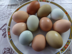 22 ������