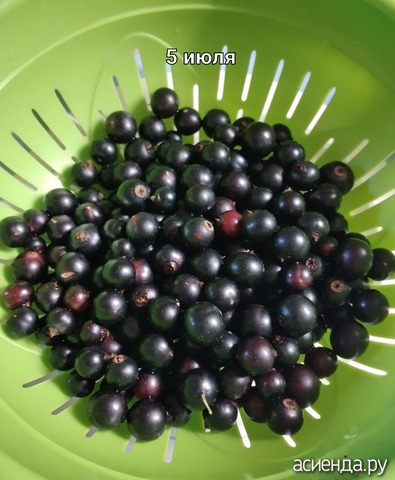 ���� 5 ����