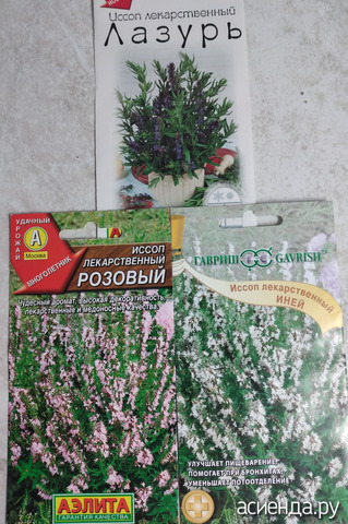 ����� 27 �������