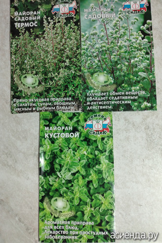 ����� 27 �������