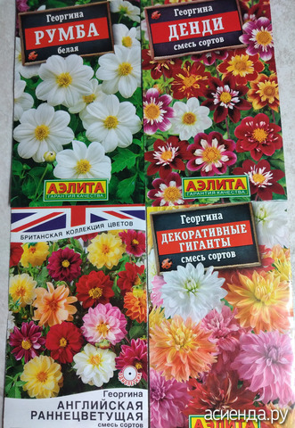 ����� 2 �����