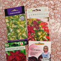 6 ����� 2026� �������.