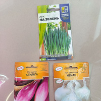 9 ����� 2026� ��� �� �����.