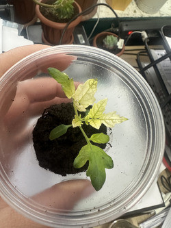 ��� � ��������?