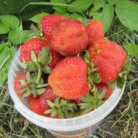 ��������� ������� ������������� �������� �� ������ �����.